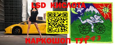 индика Ливны