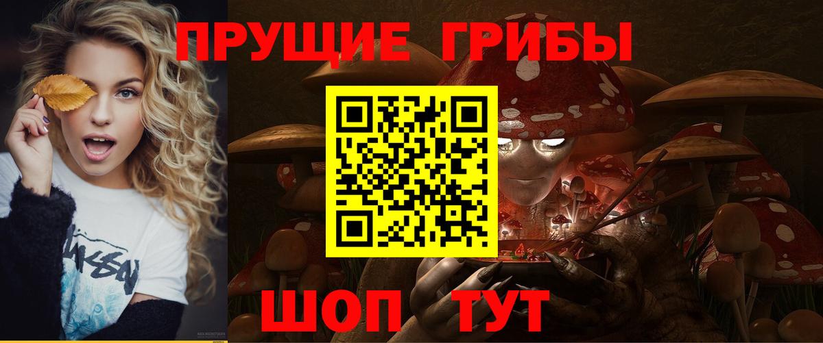 Галлюциногенные грибы мухоморы Россия