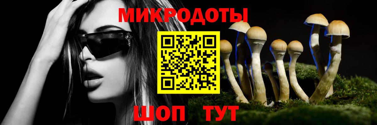 Галлюциногенные грибы Psilocybine cubensis  Псилоцибиновые грибы Psilocybine cubensis  цена   Вход с VPN  Россия 