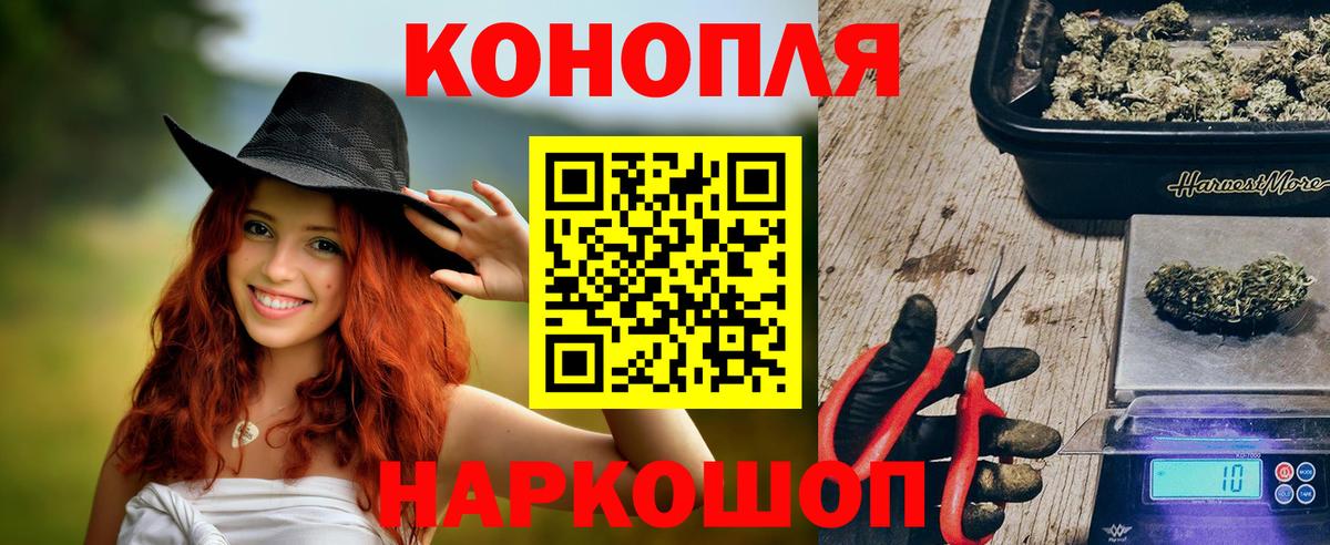 Марихуана конопля  Бошки марихуана Amnesia  Россия  Конопля Amnesia  Вход с VPN 