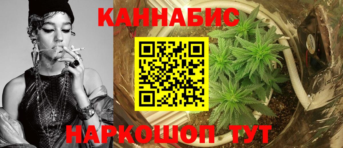 МАРИХУАНА SATIVA & INDICA Россия